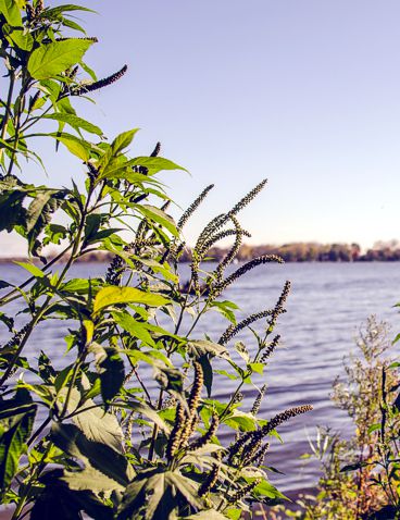 About Wind lake Management District