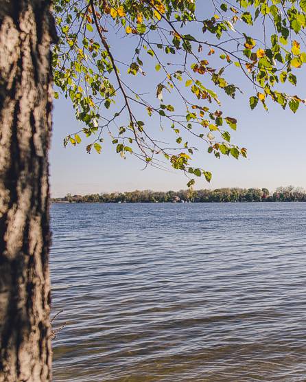 A view of Wind Lake
